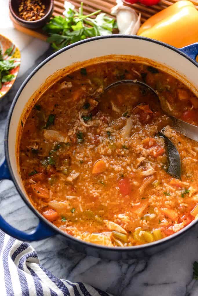 a soup pot full of a bowl of Italian Tomato Chicken & Rice Soup