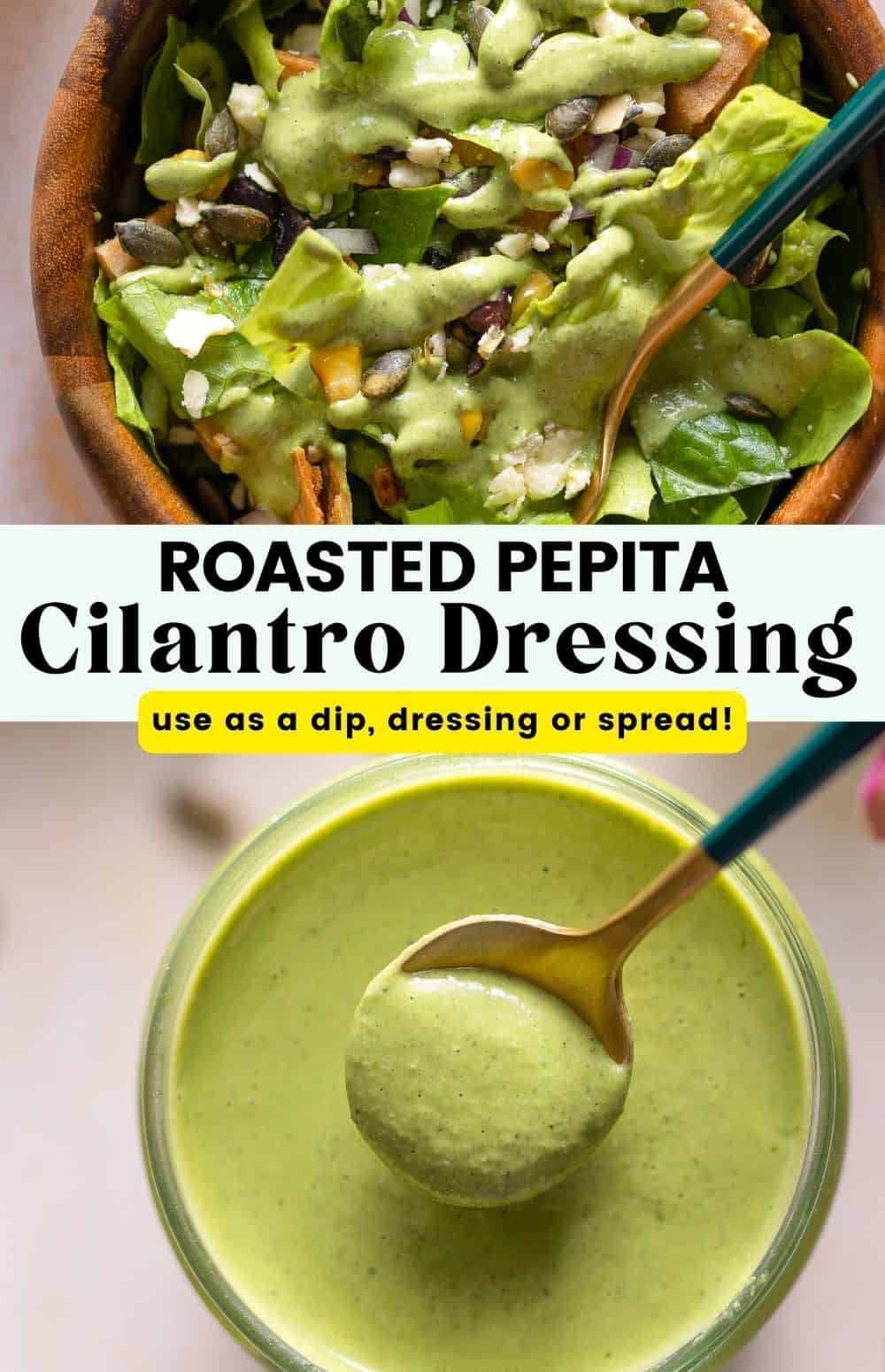 Roasted Cilantro Pepita Dressing A Saucy Kitchen