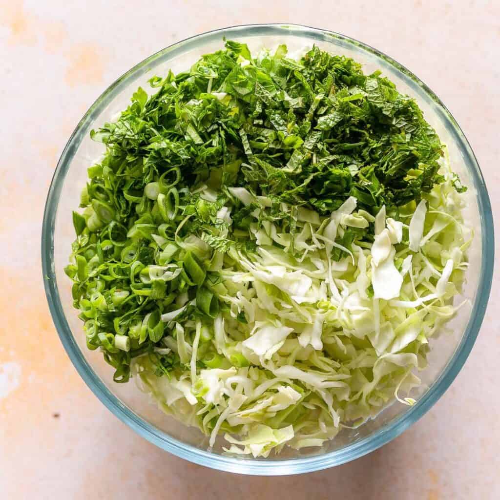 shredded white cabbage, fresh mint, fresh parsley and sliced spring onions in a salad bowl to make a malfouf salad