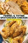 Spatchcocked Chicken with Fennel Thyme Seasoning pinterest marketing image: gluten free + paleo + low fodmap