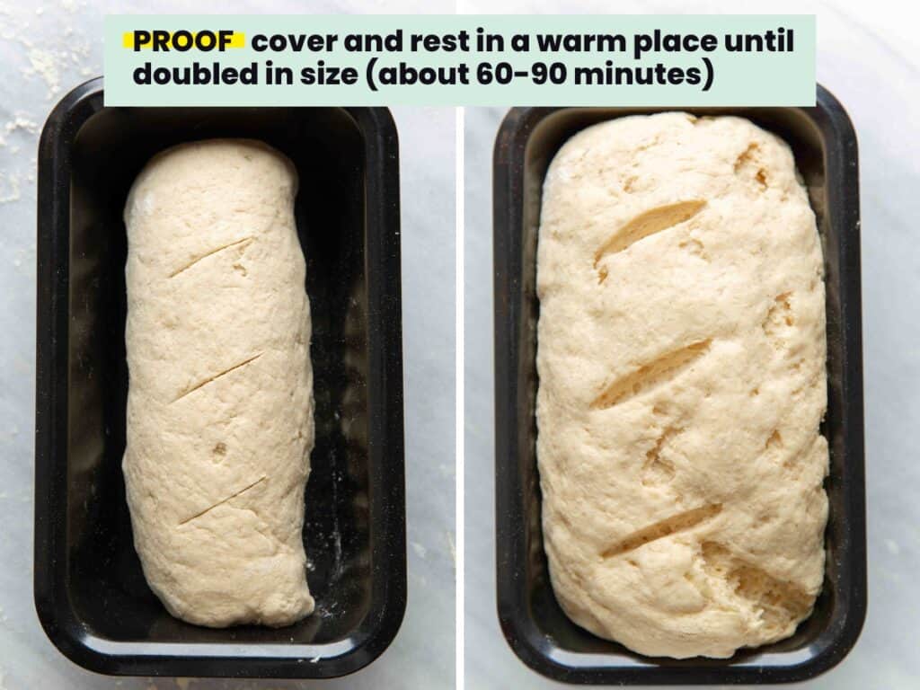 Gluten free sandwich bread dough proofing collage. Cover and rest in a warm place until doubled in size (about 60-90 minutes). Un-proofed bread in a 9x5-inch baking pan in left image; proofed dough in right image.