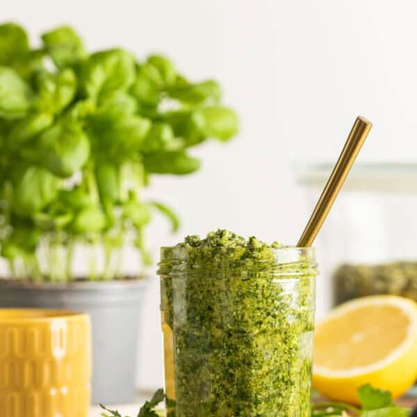 A jar full of jalapeno pesto surrounded by the fresh ingredients
