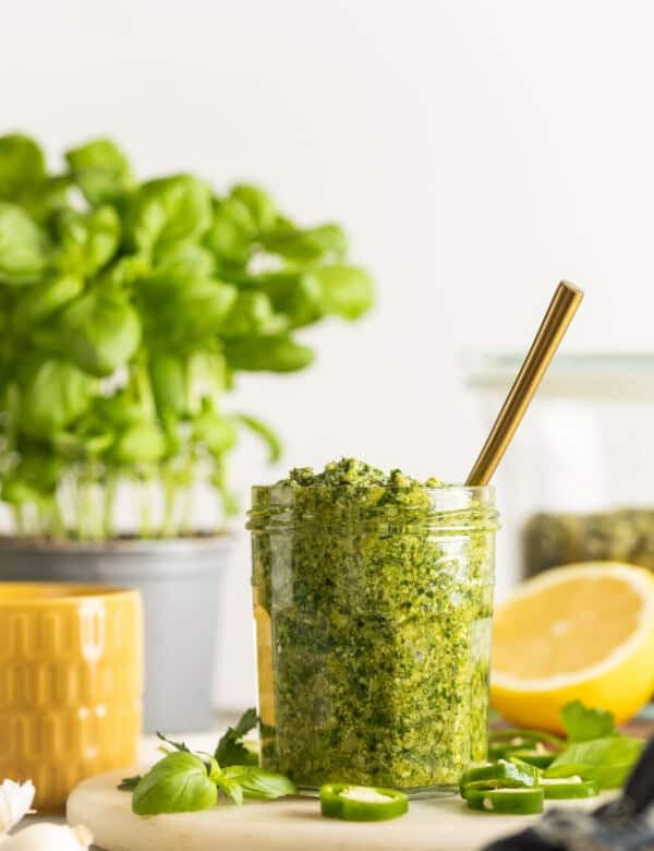 A jar full of jalapeno pesto surrounded by the fresh ingredients