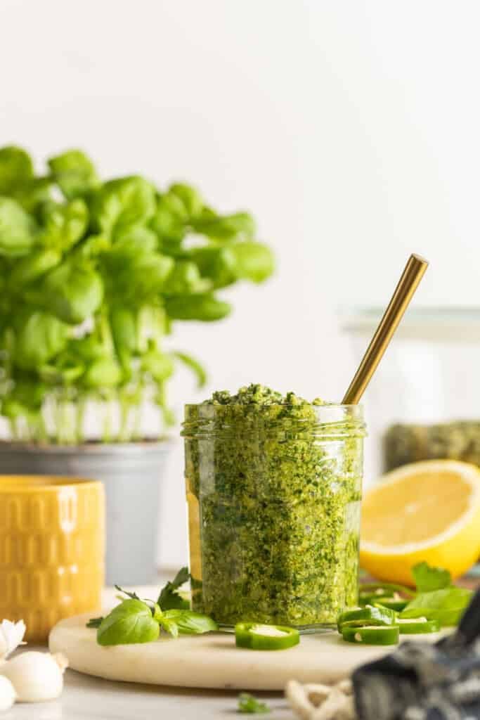 A jar full of jalapeno pesto surrounded by the fresh ingredients